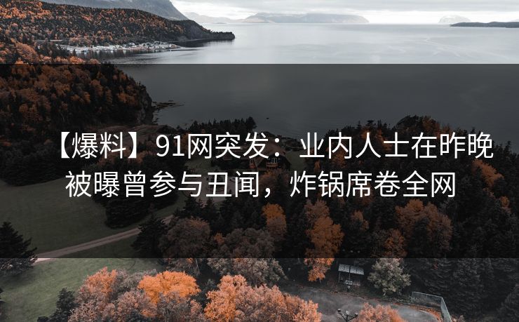 【爆料】91网突发：业内人士在昨晚被曝曾参与丑闻，炸锅席卷全网